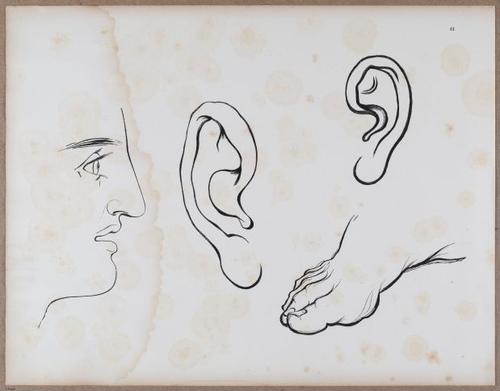 E790 - Progressive Drawing - i12374