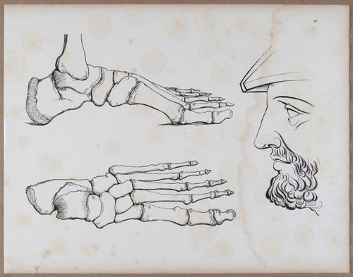 E790 - Progressive Drawing - i12375