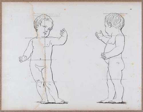 E790 - Progressive Drawing - i12376