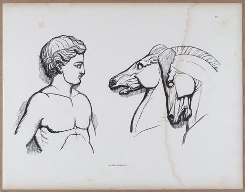 E790 - Progressive Drawing - i12381