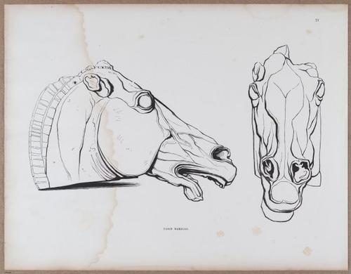 E790 - Progressive Drawing - i12384