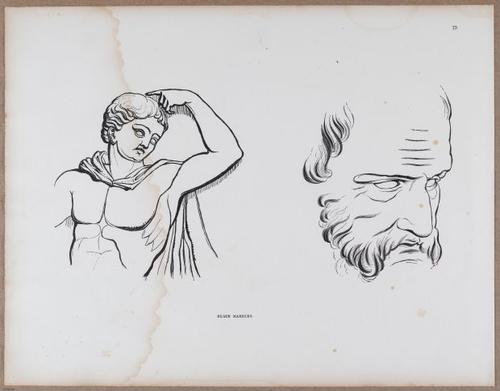 E790 - Progressive Drawing - i12386