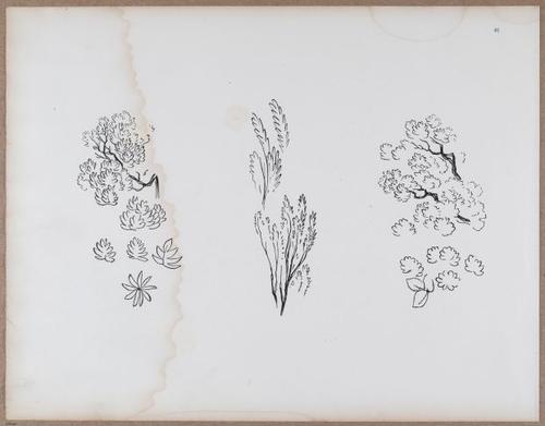 E790 - Progressive Drawing - i12394