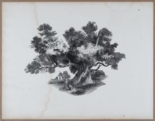 E790 - Progressive Drawing - i12396