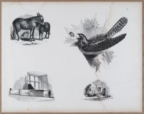 E790 - Progressive Drawing - i12397