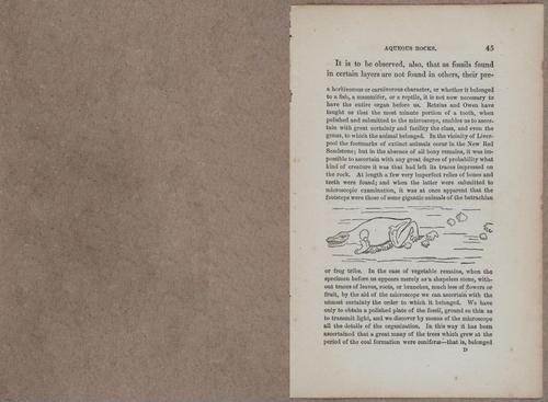 E800 - Principles Geology - i13358