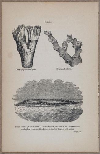 E800 - Principles Geology - i13368