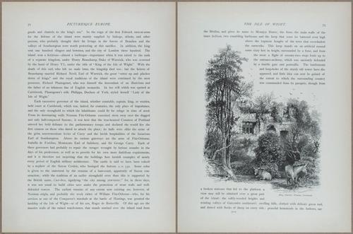 E798 - Picturesque Europe - Vol II - 13204-13205