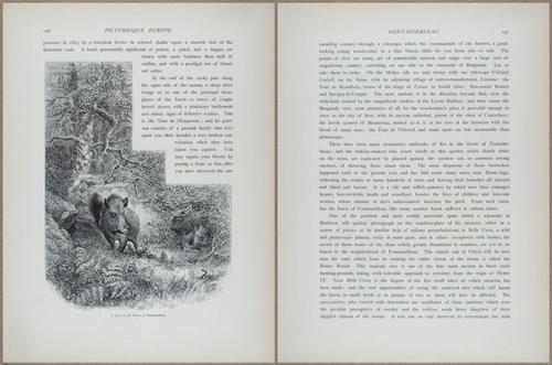 E798 - Picturesque Europe - Vol II - 14229-14230