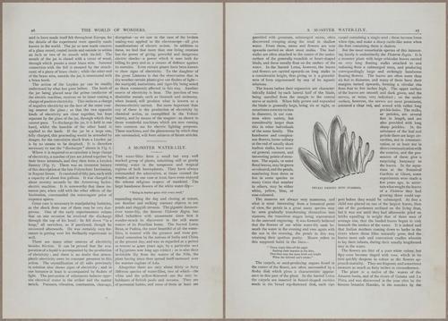 E804 - Wonders of the Universe - 1885 - 13622-13623