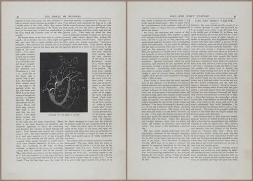 E804 - Wonders of the Universe - 1885 - 13626-13627