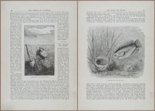 E804 - Wonders of the Universe - 1885 - 13653-13654