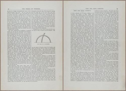 E804 - Wonders of the Universe - 1885 - 13675-13676