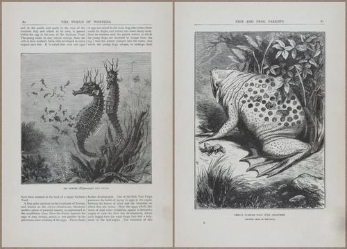 E804 - Wonders of the Universe - 1885 - 13677-13678