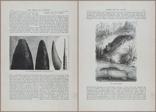 E804 - Wonders of the Universe - 1885 - 13714-13715