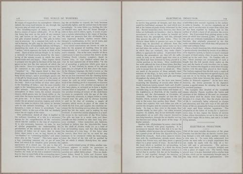 E804 - Wonders of the Universe - 1885 - 13716-13717