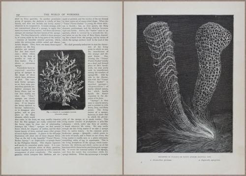 E804 - Wonders of the Universe - 1885 - 13730-13731