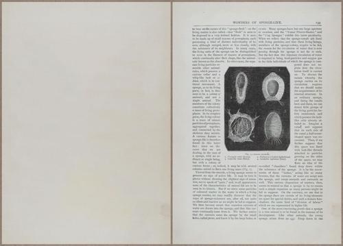 E804 - Wonders of the Universe - 1885 - 13732-13733