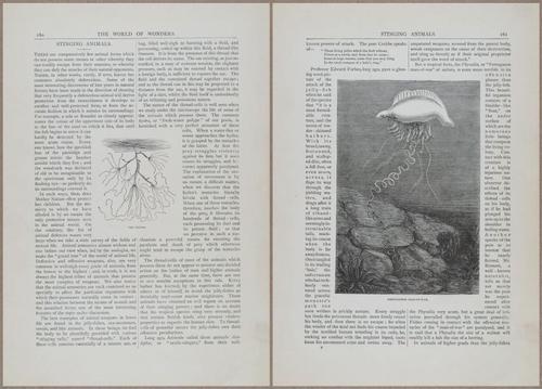 E804 - Wonders of the Universe - 1885 - 13759-13760