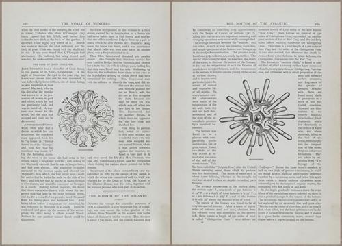 E804 - Wonders of the Universe - 1885 - 13767-13768