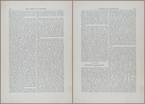 E804 - Wonders of the Universe - 1885 - 13819-13820
