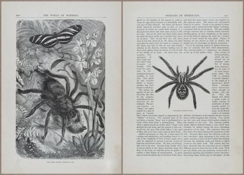 E804 - Wonders of the Universe - 1885 - 13821-13822