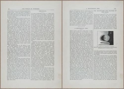 E804 - Wonders of the Universe - 1885 - 13823-13824