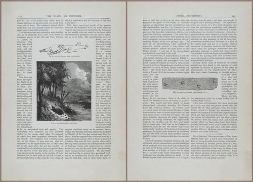 E804 - Wonders of the Universe - 1885 - 13862-13863