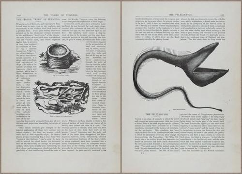 E804 - Wonders of the Universe - 1885 - 13874-13875
