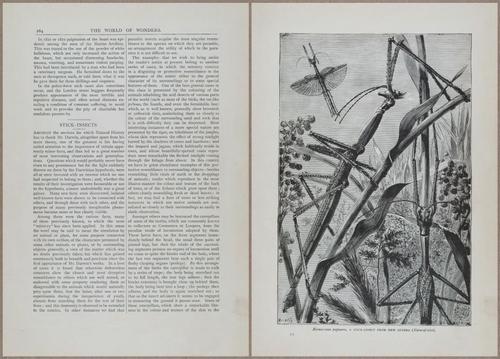 E804 - Wonders of the Universe - 1885 - 13882-13883