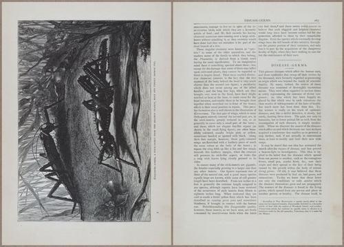 E804 - Wonders of the Universe - 1885 - 13886-13887
