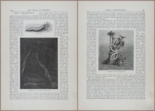 E804 - Wonders of the Universe - 1885 - 13785-13786