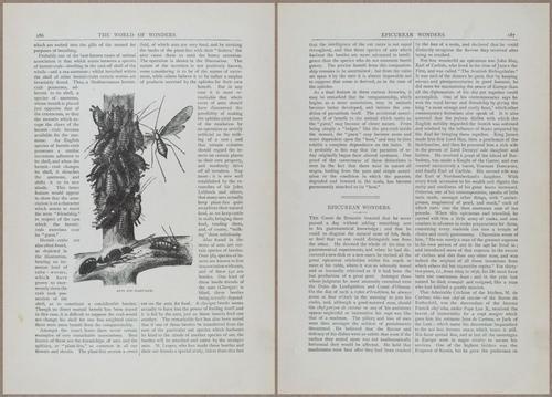E804 - Wonders of the Universe - 1885 - 13787-13788