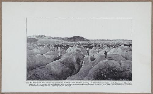E801 - Ice Age - i13440