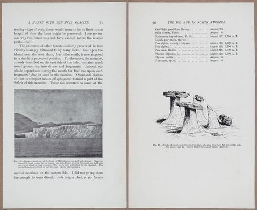 E801 - Ice Age - i13444-13445
