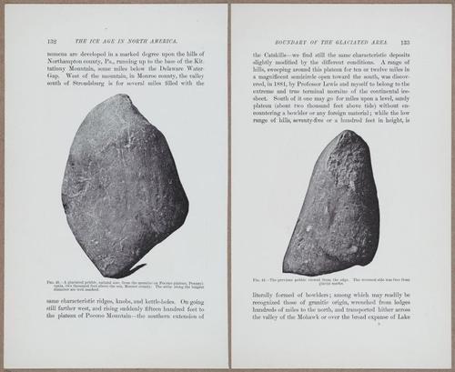 E801 - Ice Age - i13460-13461