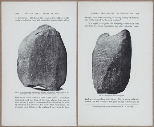 E801 - Ice Age - i13480-13481