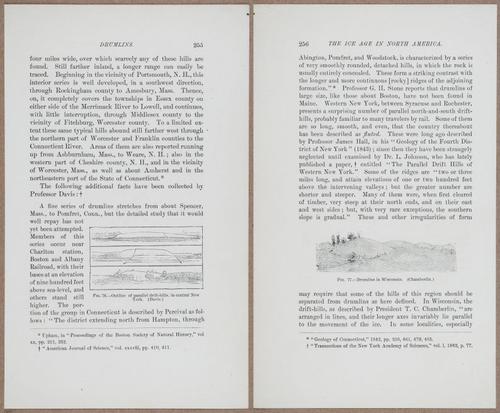 E801 - Ice Age - i13495-13496
