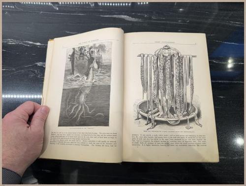 E804 - Wonders of the Universe - 1885 - 2504