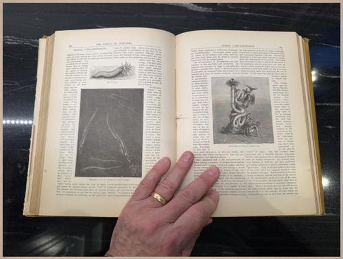 E804 - Wonders of the Universe - 1885 - 2507