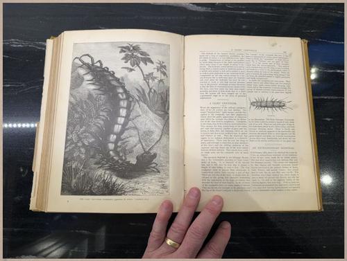 E804 - Wonders of the Universe - 1885 - 2514