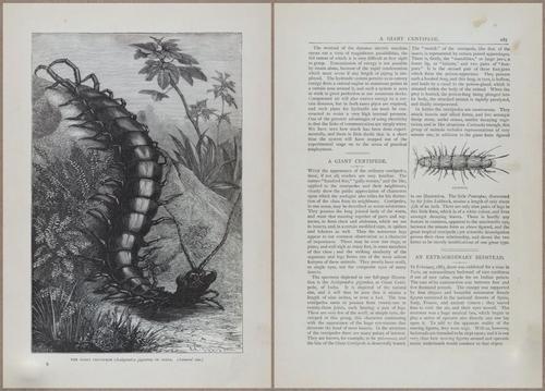 E804 - Wonders of the Universe - 1885 - 13909-13910