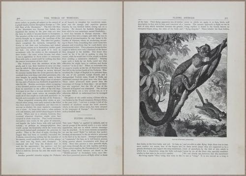 E804 - Wonders of the Universe - 1885 - 13923-13924