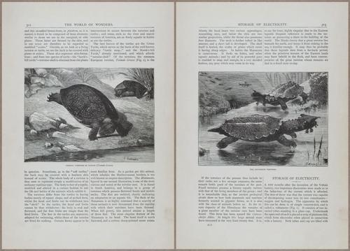 E804 - Wonders of the Universe - 1885 - 13935-13936
