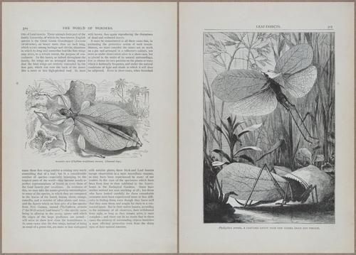 E804 - Wonders of the Universe - 1885 - 13947-13948