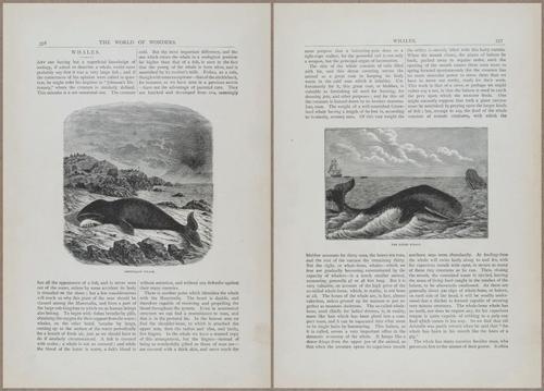 E804 - Wonders of the Universe - 1885 - 13981-13982