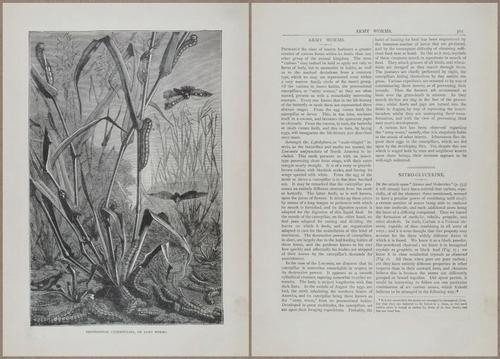 E804 - Wonders of the Universe - 1885 - 13989-13990
