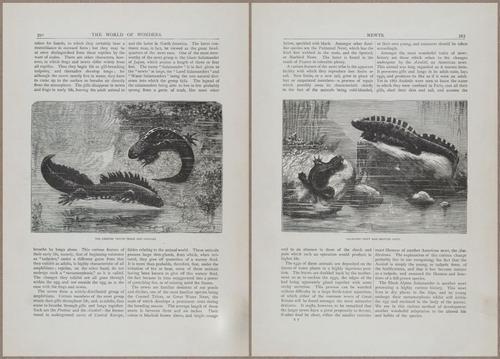 E804 - Wonders of the Universe - 1885 - 14016-14017