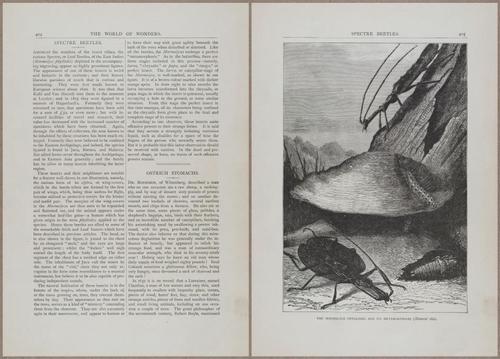 E804 - Wonders of the Universe - 1885 - 14028-14029