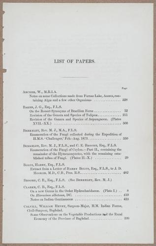 E805 - Linnean - i14049